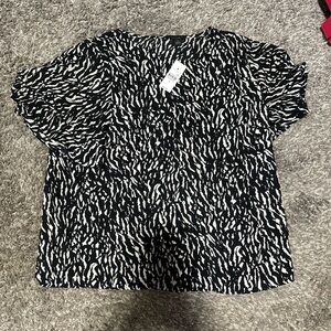 NWT Ann Taylor Loft